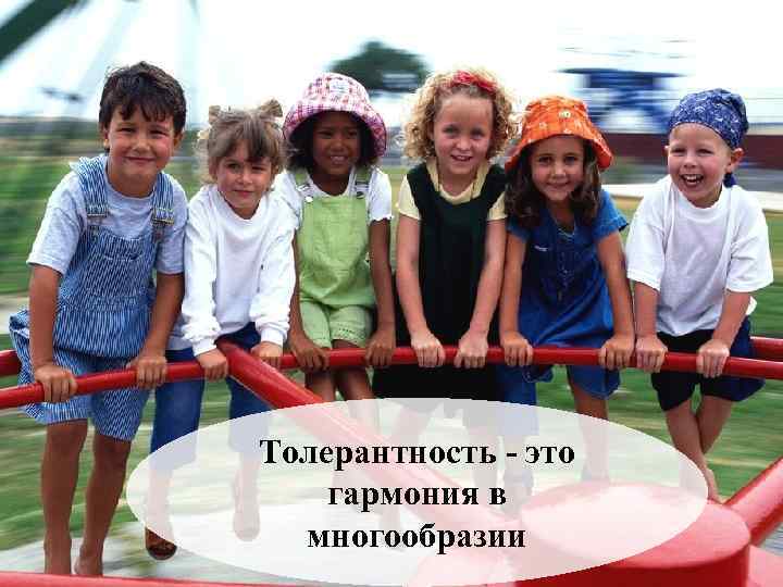 Толерантность - это гармония в многообразии 