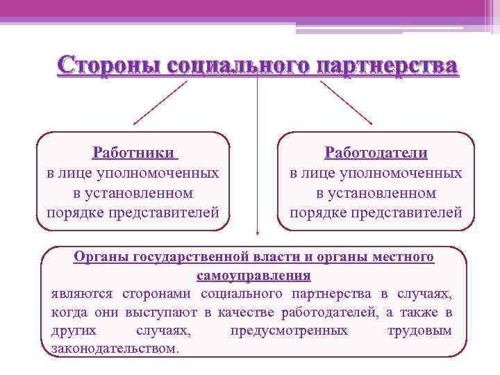 Стороны социального партнерства Работники в лице уполномоченных в установленном порядке представителей Работодатели в лице