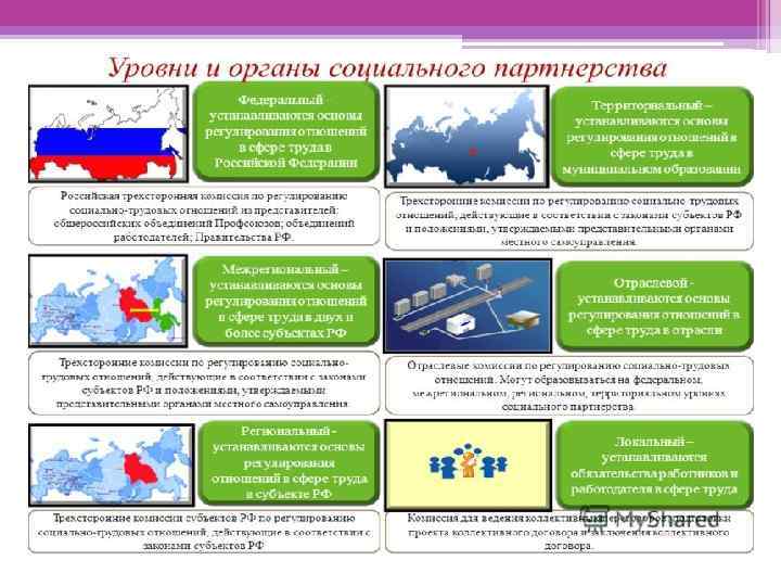 Интеллект карта социальное партнерство