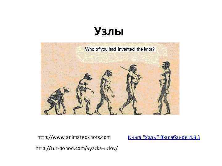 Узлы http: //www. animatedknots. com http: //tur-pohod. com/vyazka-uzlov/ Книга 