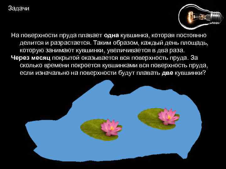 Задачи На поверхности пруда плавает одна кувшинка, которая постоянно делится и разрастается. Таким образом,