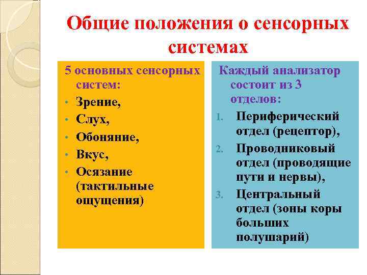 Общие положения о сенсорных системах 5 основных сенсорных систем: • Зрение, • Слух, •