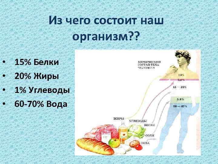 Из чего состоит наш организм? ? • • 15% Белки 20% Жиры 1% Углеводы