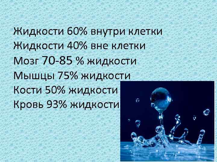 Жидкости 60% внутри клетки Жидкости 40% вне клетки Мозг 70 -85 % жидкости Мышцы