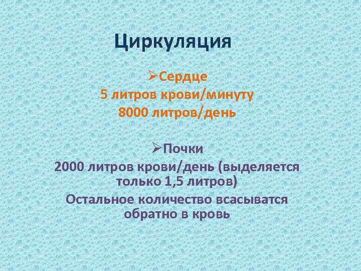 Циркуляция ØСердце 5 литров крови/минуту 8000 литров/день ØПочки 2000 литров крови/день (выделяется только 1,