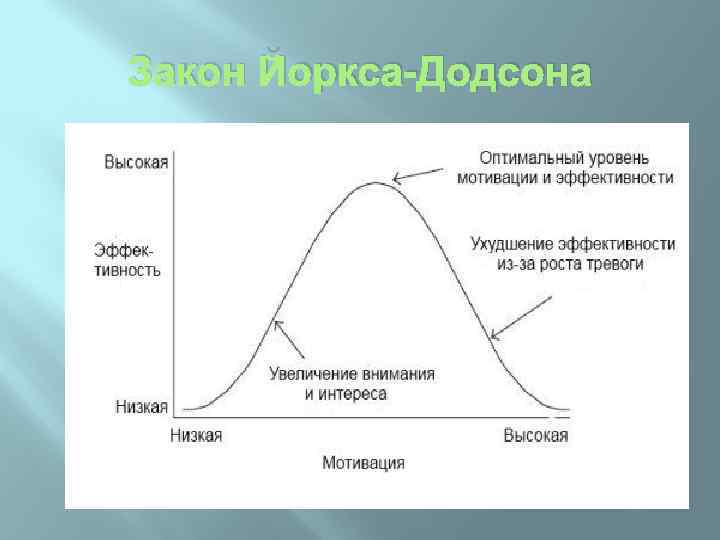 Закон Йоркса-Додсона 