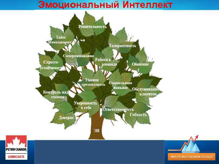 Эмоциональный Интеллект TOGETHER, СМОЖЕМ БОЛЬШЕ ВМЕСТЕ МЫ MORE IS POSSIBLE 