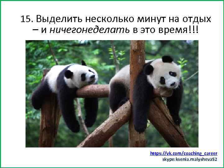 15. Выделить несколько бы минут 15) Заняться спортом (хотяминут на отдых – и ничегонеделать