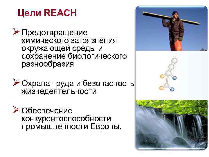 Цели REACH Ø Предотвращение химического загрязнения окружающей среды и сохранение биологического разнообразия Ø Охрана