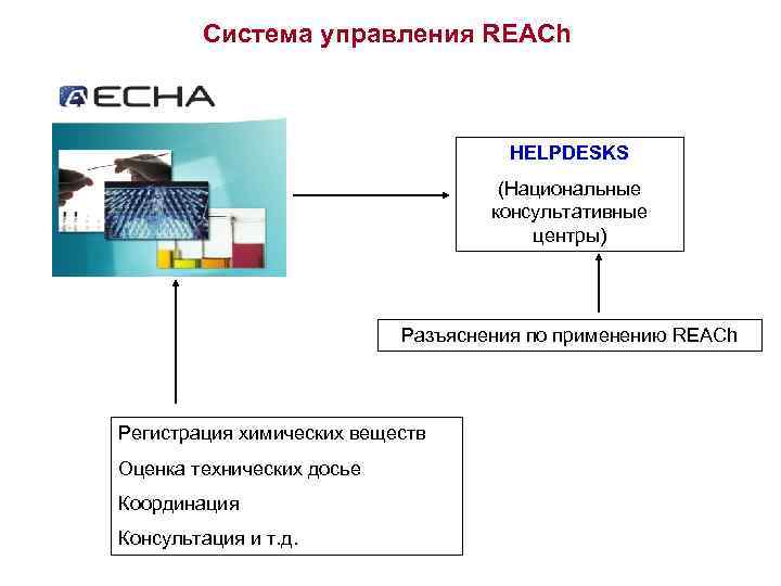 Система управления REACh HELPDESKS (Национальные консультативные центры) Разъяснения по применению REACh Регистрация химических веществ