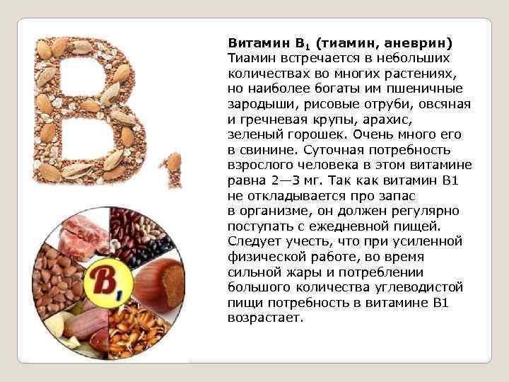 Витамин В 1 (тиамин, аневрин) Тиамин встречается в небольших количествах во многих растениях, но