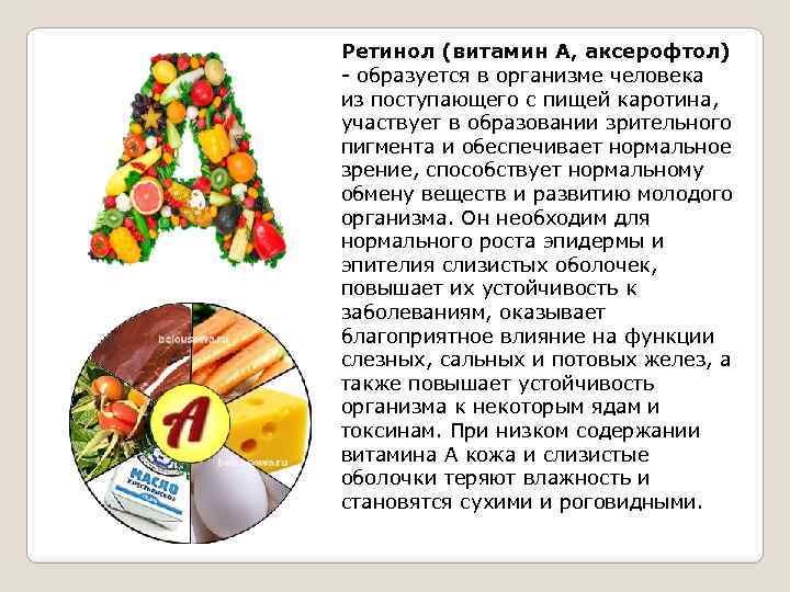 Ретинол (витамин А, аксерофтол) образуется в организме человека из поступающего с пищей каротина, участвует