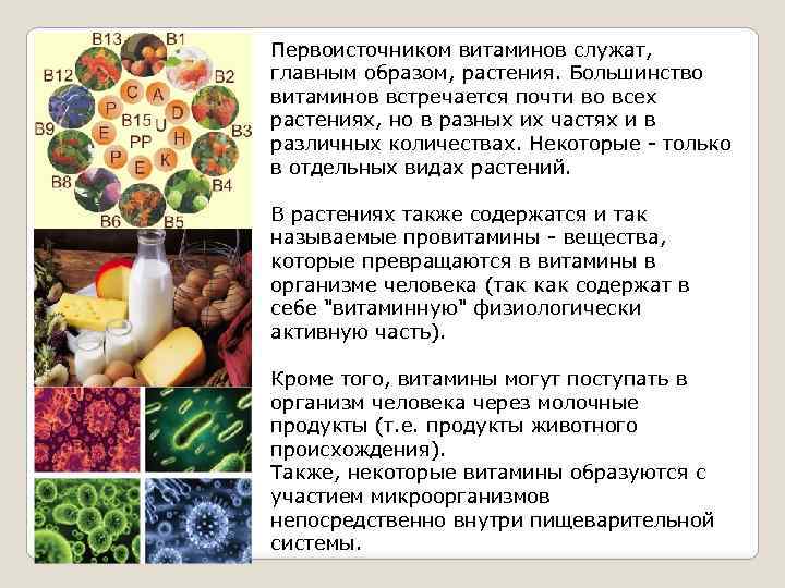 Первоисточником витаминов служат, главным образом, растения. Большинство витаминов встречается почти во всех растениях, но