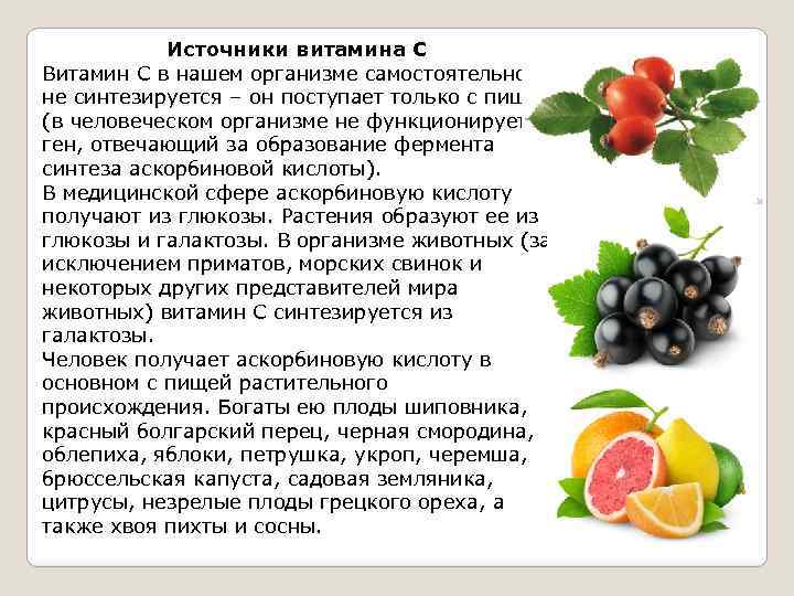 Источники витамина С Витамин С в нашем организме самостоятельно не синтезируется – он поступает