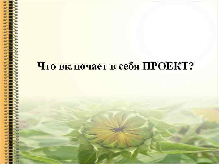 Что включает в себя ПРОЕКТ? 