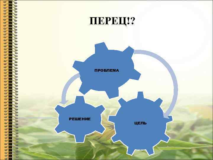 ПЕРЕЦ!? ПРОБЛЕМА РЕШЕНИЕ ЦЕЛЬ 
