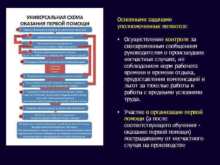 Основными задачами уполномоченных являются: • Осуществление контроля за своевременным сообщением руководителям о происшедших несчастных