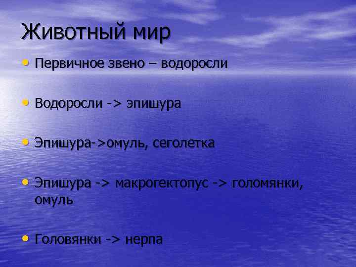 Животный мир • Первичное звено – водоросли • Водоросли -> эпишура • Эпишура->омуль, сеголетка