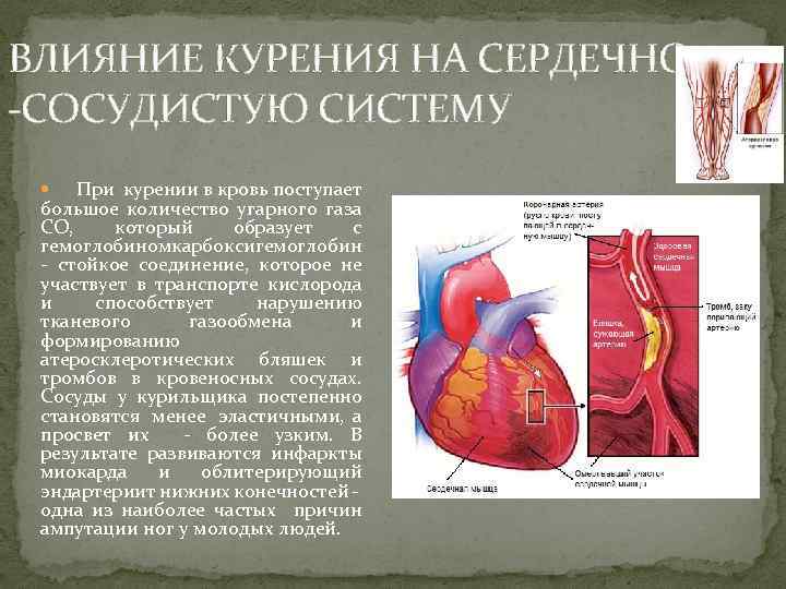 ВЛИЯНИЕ КУРЕНИЯ НА СЕРДЕЧНО -СОСУДИСТУЮ СИСТЕМУ При курении в кровь поступает большое количество угарного