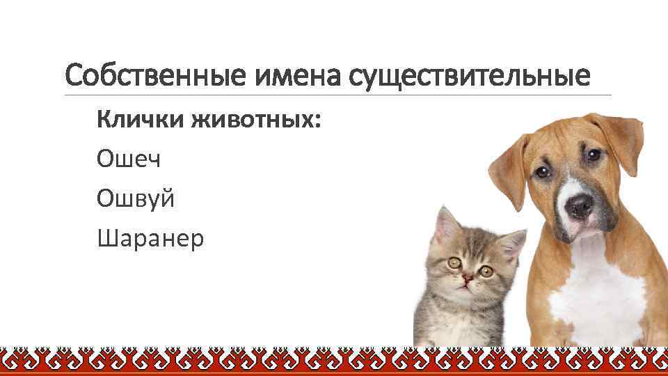 Собственные имена существительные Клички животных: Ошеч Ошвуй Шаранер 