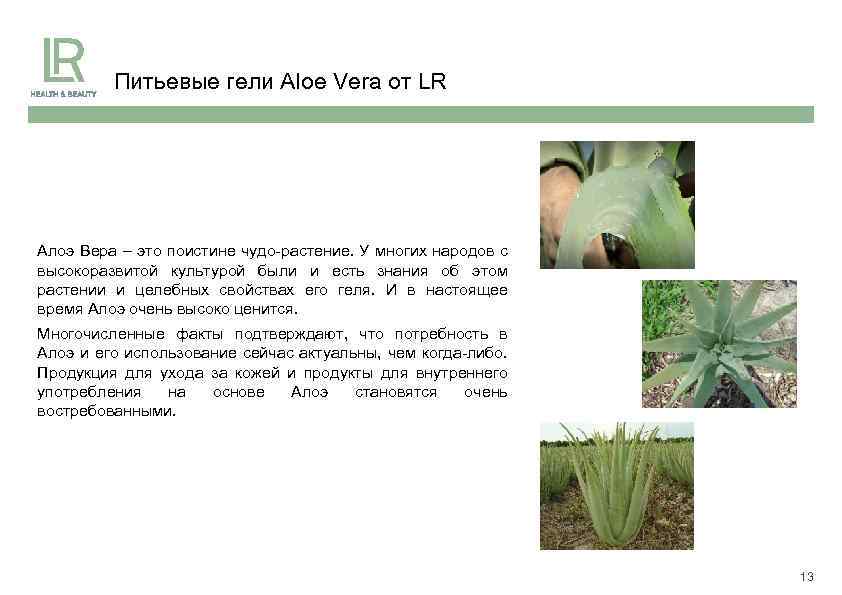 Питьевые гели Aloe Vera от LR Алоэ Вера – это поистине чудо-растение. У многих