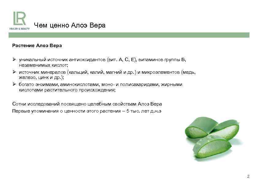 Чем ценно Алоэ Вера Растение Алоэ Вера Ø уникальный источник антиоксидантов (вит. А, С,