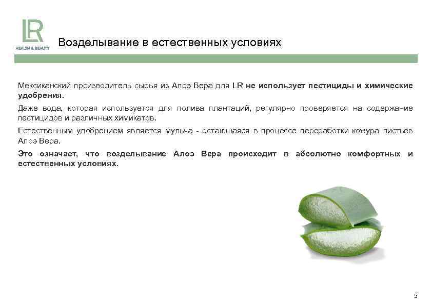 Возделывание в естественных условиях Мексиканский производитель сырья из Алоэ Вера для LR не использует