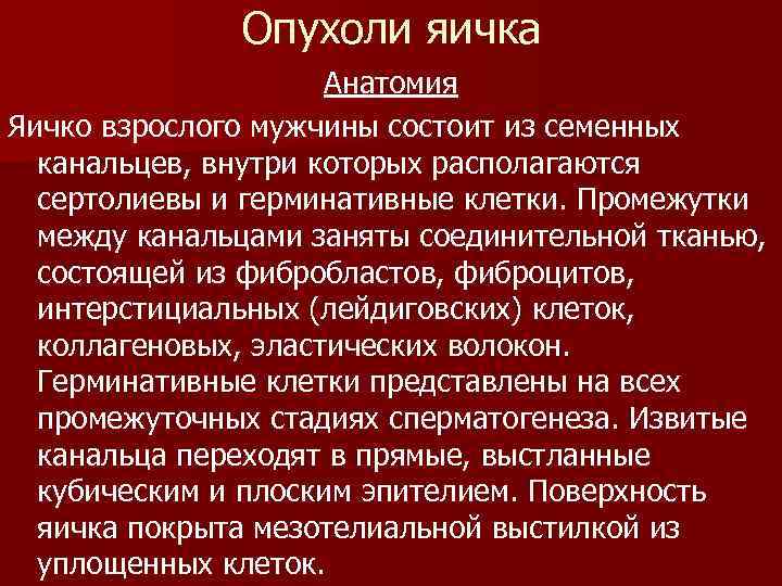 Опухоли яичка Анатомия Яичко взрослого мужчины состоит из семенных канальцев, внутри которых располагаются сертолиевы