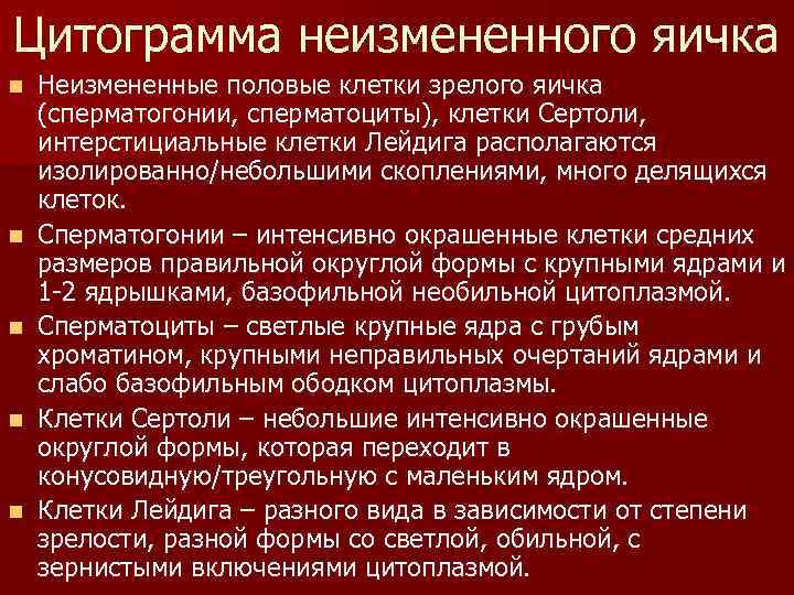 Цитограмма неизмененного яичка n n n Неизмененные половые клетки зрелого яичка (сперматогонии, сперматоциты), клетки