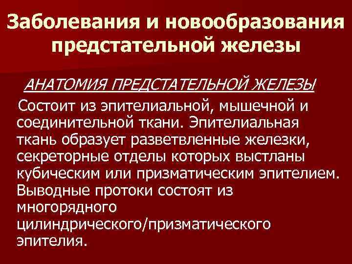 Заболевания и новообразования предстательной железы АНАТОМИЯ ПРЕДСТАТЕЛЬНОЙ ЖЕЛЕЗЫ Состоит из эпителиальной, мышечной и соединительной