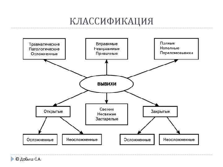 КЛАССИФИКАЦИЯ © Добыш С. А. 