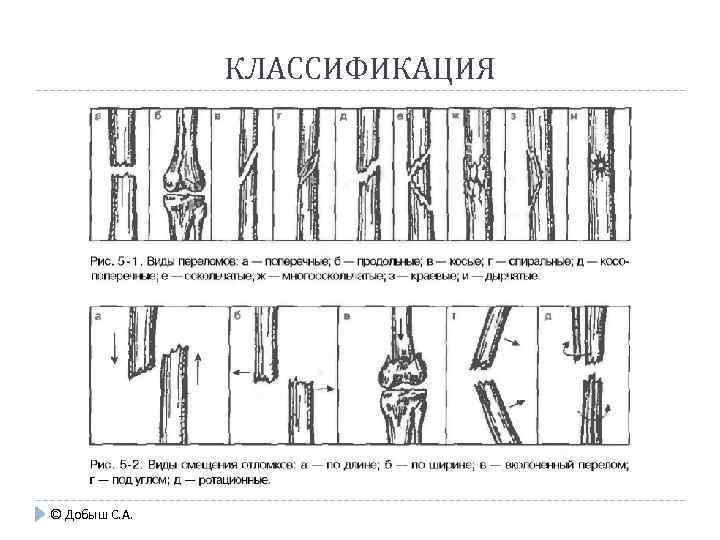 КЛАССИФИКАЦИЯ © Добыш С. А. 