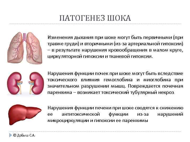 ПАТОГЕНЕЗ ШОКА Изменения дыхания при шоке могут быть первичными (при травме груди) и вторичными