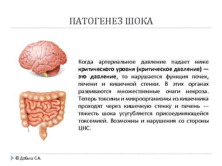 ПАТОГЕНЕЗ ШОКА Когда артериальное давление падает ниже критического уровня (критическое давление) — это давление,