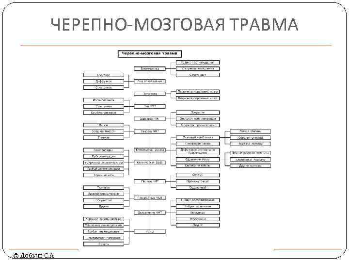ЧЕРЕПНО-МОЗГОВАЯ ТРАВМА © Добыш С. А. 