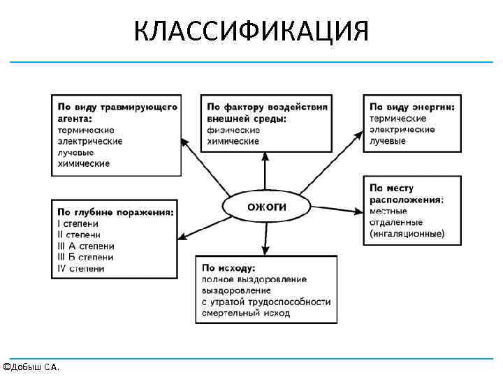 КЛАССИФИКАЦИЯ ©Добыш С. А. 
