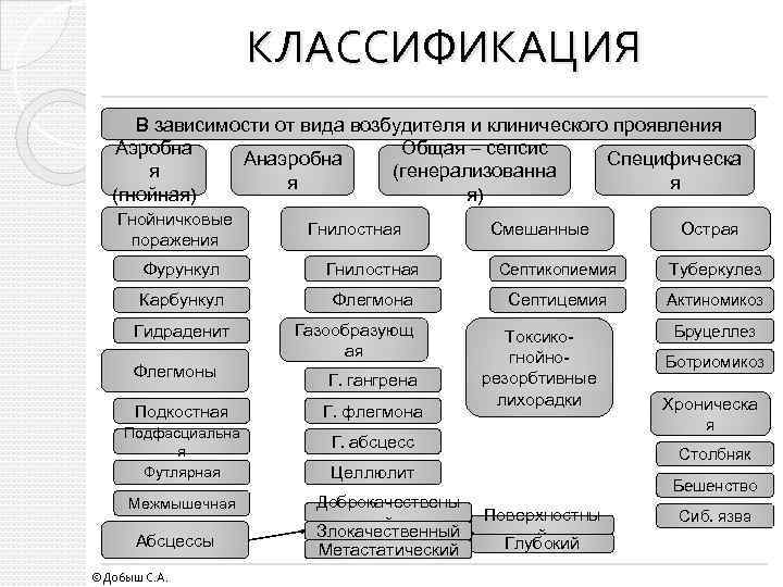 КЛАССИФИКАЦИЯ В зависимости от вида возбудителя и клинического проявления Аэробна Общая – сепсис Анаэробна