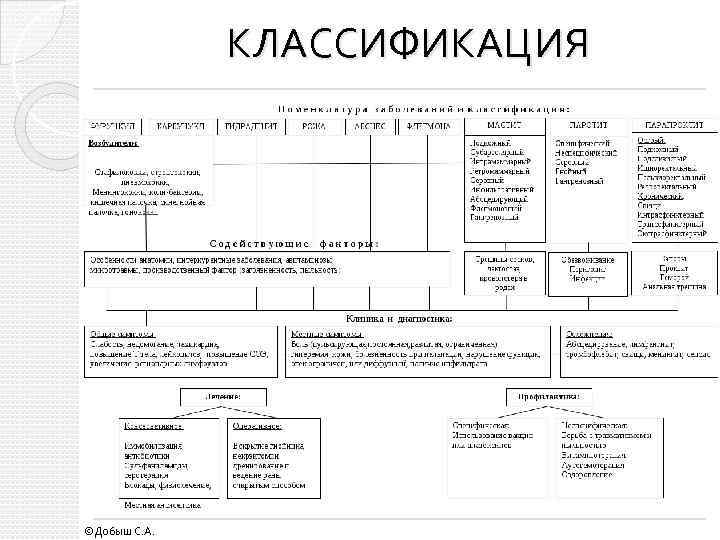 КЛАССИФИКАЦИЯ ©Добыш С. А. 