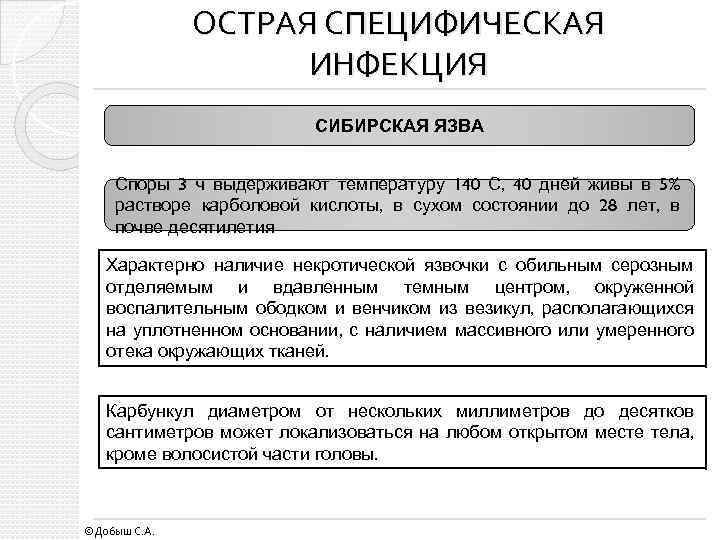 ОСТРАЯ СПЕЦИФИЧЕСКАЯ ИНФЕКЦИЯ СИБИРСКАЯ ЯЗВА Споры 3 ч выдерживают температуру 140 С, 40 дней