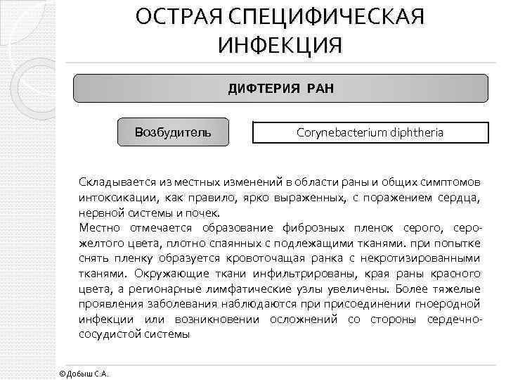 ОСТРАЯ СПЕЦИФИЧЕСКАЯ ИНФЕКЦИЯ ДИФТЕРИЯ РАН Возбудитель Corynebacterium diphtheria Складывается из местных изменений в области