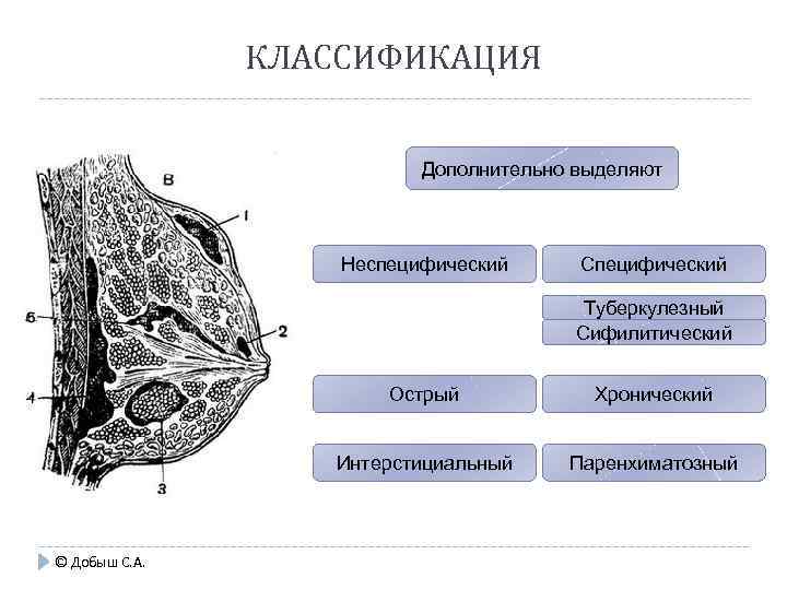 КЛАССИФИКАЦИЯ Дополнительно выделяют Неспецифический Специфический Туберкулезный Сифилитический Острый Интерстициальный © Добыш С. А. Хронический