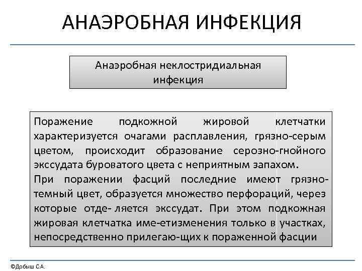 АНАЭРОБНАЯ ИНФЕКЦИЯ Анаэробная неклостридиальная инфекция Поражение подкожной жировой клетчатки характеризуется очагами расплавления, грязно серым