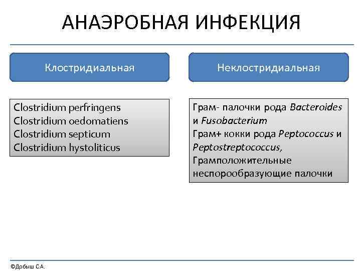 АНАЭРОБНАЯ ИНФЕКЦИЯ Клостридиальная Clostridium perfringens Clostridium oedomatiens Clostridium septicum Clostridium hystoliticus ©Добыш С. А.