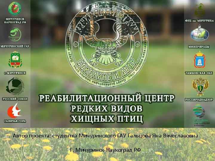 Автор проекта: студентка Мичуринского ГАУ Гальцова Яна Вячеславовна Г. Мичуринск-Наукоград РФ 