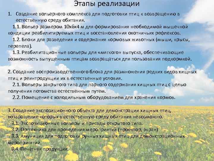 Этапы реализации 1. Создание вольерного комплекса для подготовки птиц к возвращению в естественную среду