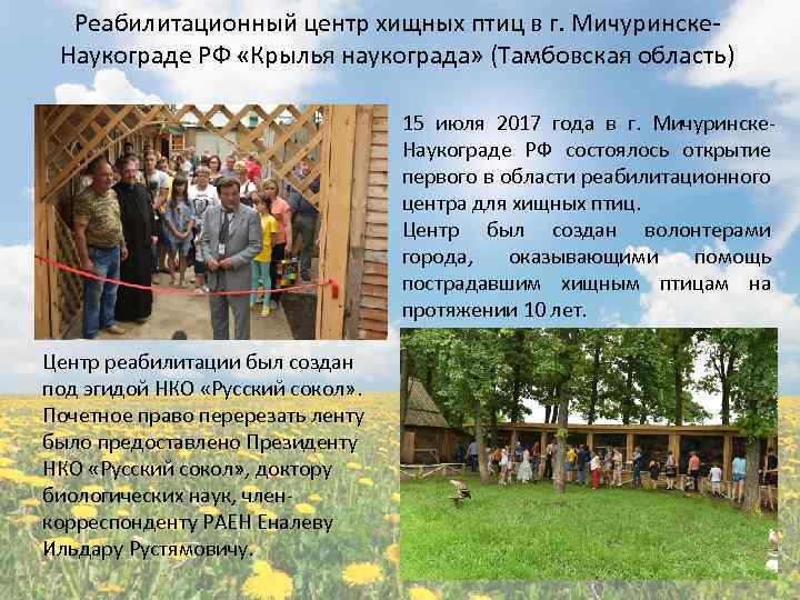 Реабилитационный центр хищных птиц в г. Мичуринске. Наукограде РФ «Крылья наукограда» (Тамбовская область) 15