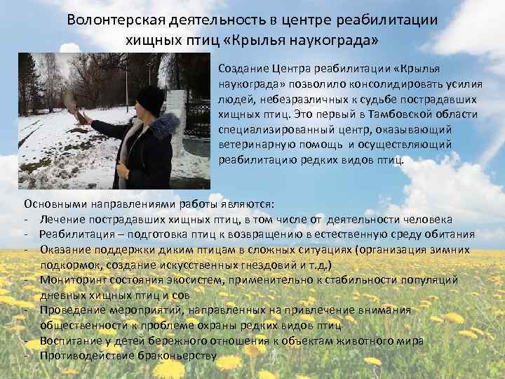 Волонтерская деятельность в центре реабилитации хищных птиц «Крылья наукограда» Создание Центра реабилитации «Крылья наукограда»