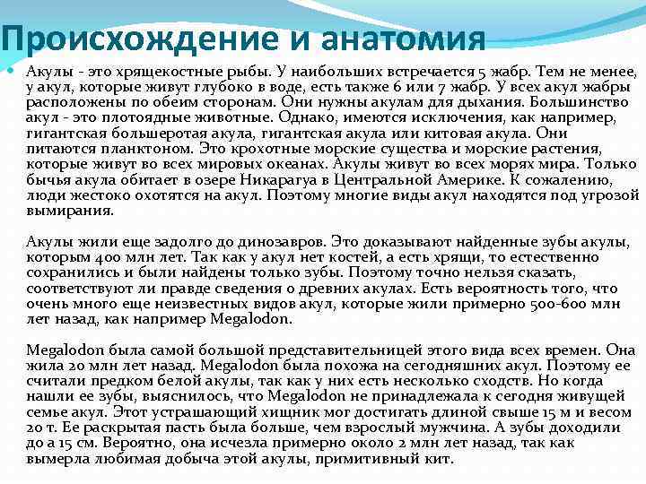 Происхождение и анатомия Акулы - это хрящекостные рыбы. У наибольших встречается 5 жабр. Тем