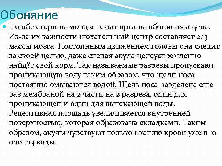 Обоняние По обе стороны морды лежат органы обоняния акулы. Из-за их важности нюхательный центр