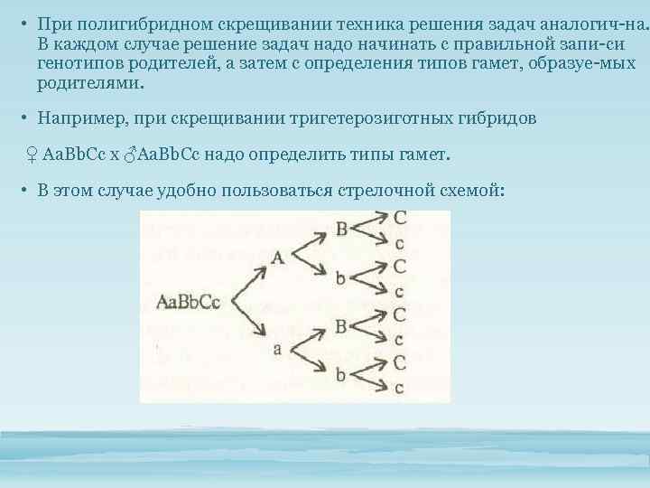  • При полигибридном скрещивании техника решения задач аналогич на. В каждом случае решение